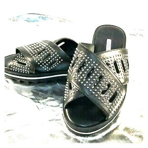 Charles David slides